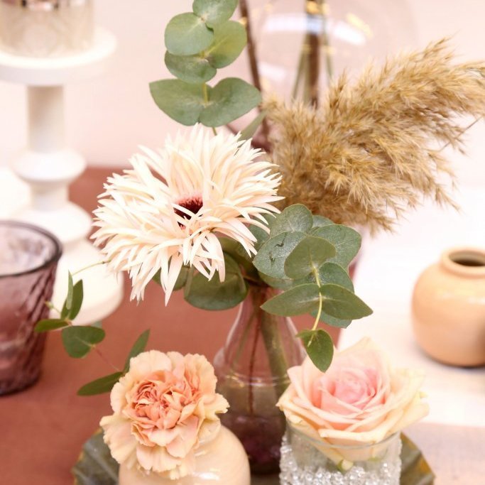 fjadrir-og-finlegt-c