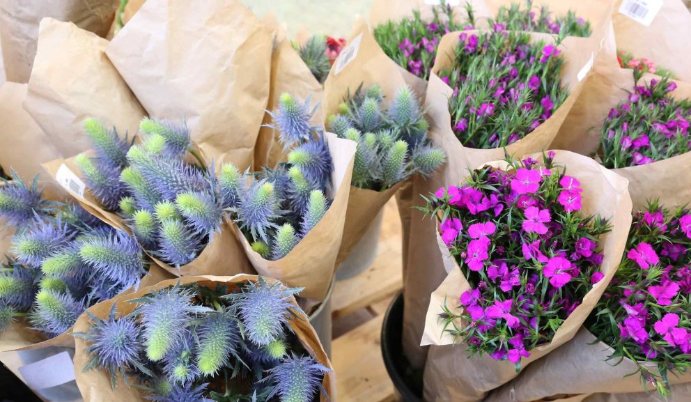 Vorblómamarkaður Garðheima