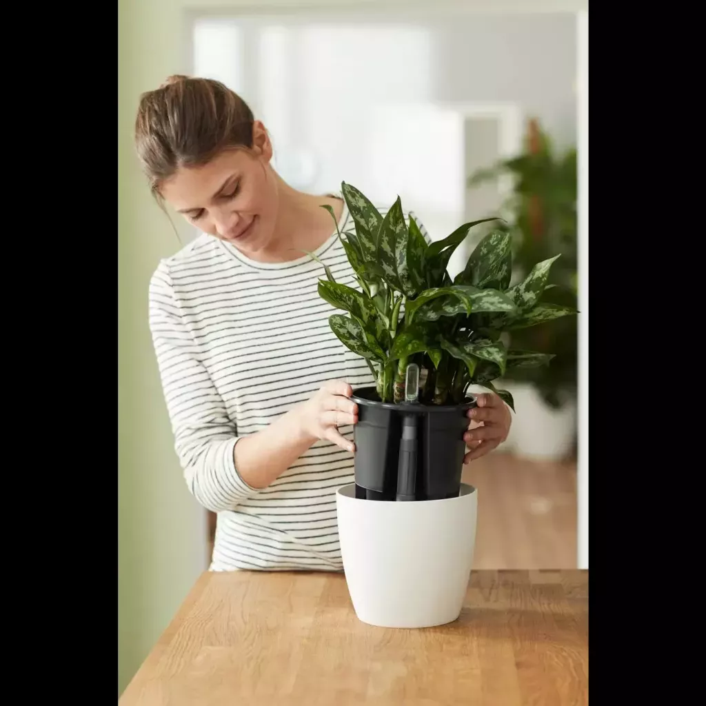 Ræktunarpottur með sjálfvökvunarkerfi - svartur