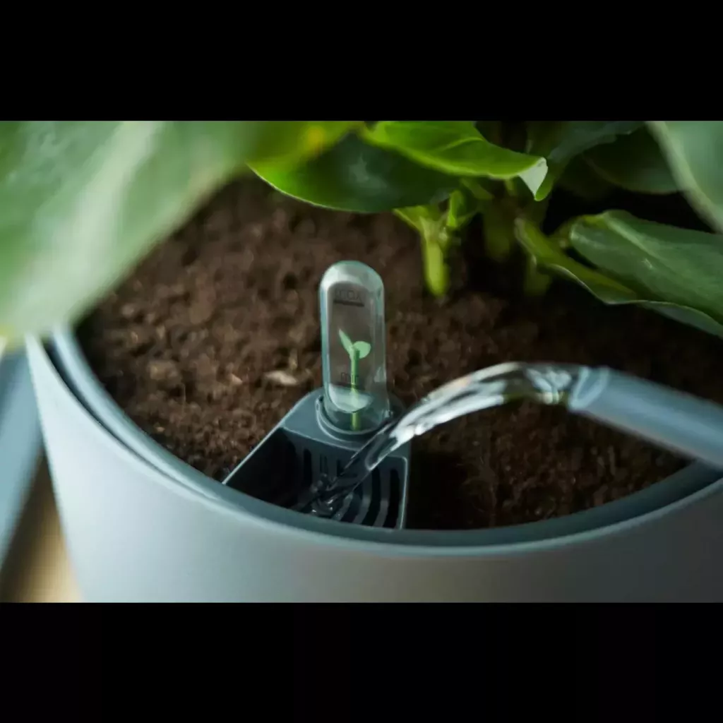 Ræktunarpottur með sjálfvökvunarkerfi - svartur