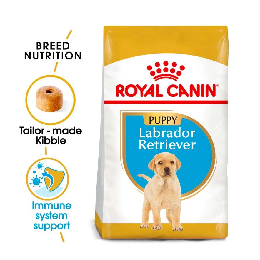 Labrador Retriever Puppy þurrfóður - 12kg