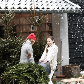 Normand jólatrésfótur 39 cm