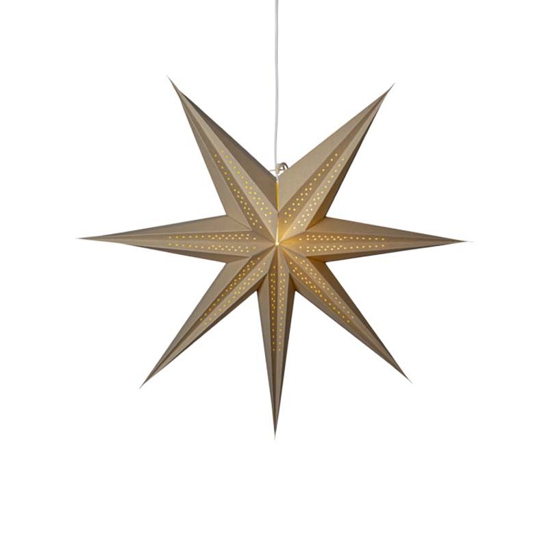 Point pappastjarnan - margir litir