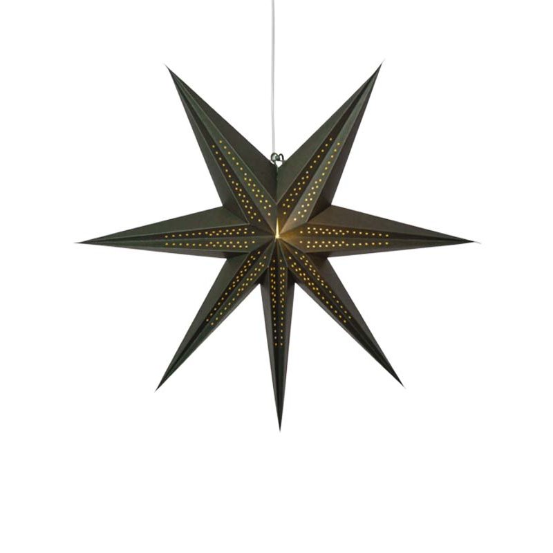 Point pappastjarnan - margir litir