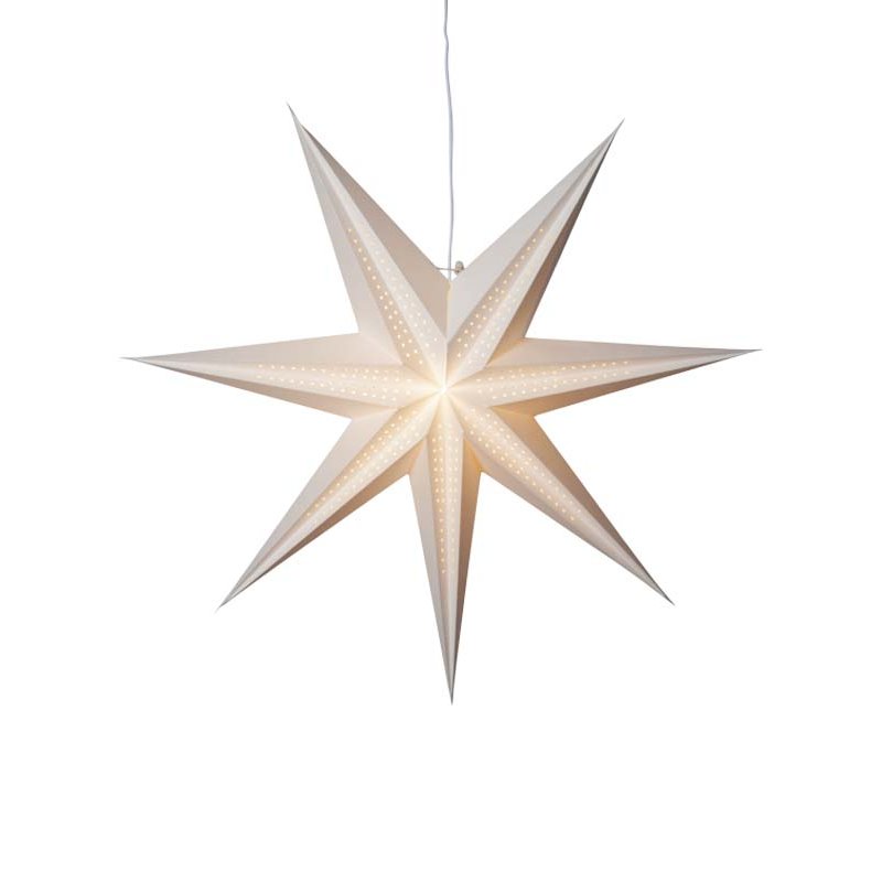 Point pappastjarnan - margir litir