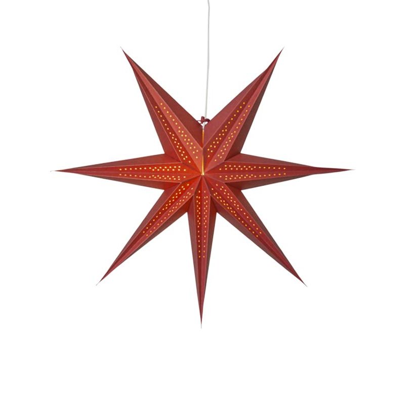 Point pappastjarnan - margir litir