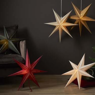 Point pappastjarnan - margir litir