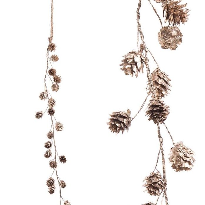 Pinecone könglalengja - gylltar