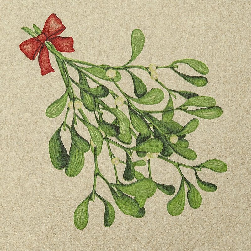 Servíettur Mistletoe