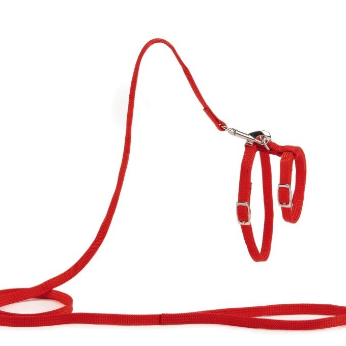 Kattabeisli Beeztees