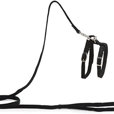 Kattabeisli Beeztees