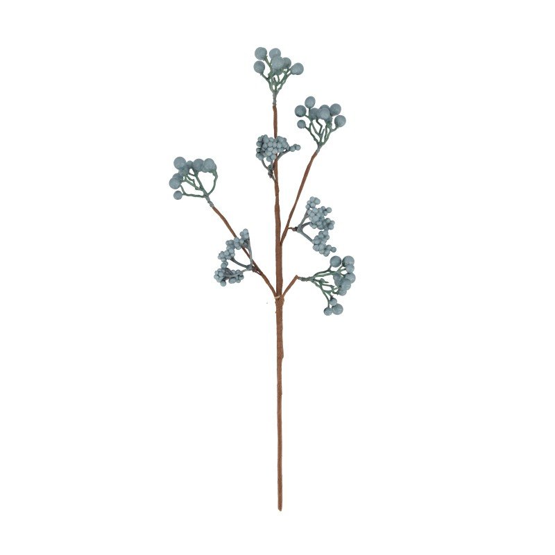 Berjagrein 50 cm - blá/græn