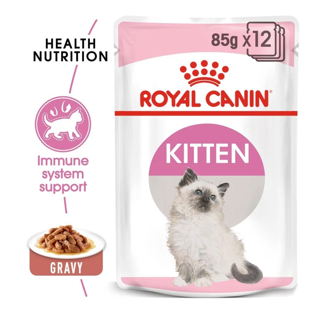 Kitten blautfóður - 12x85gr