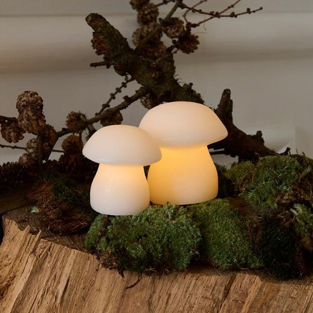 Elvina sveppir frá Sirius, 2 stk - batt