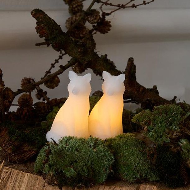 Edda refir frá Sirius, 2 stk - batt