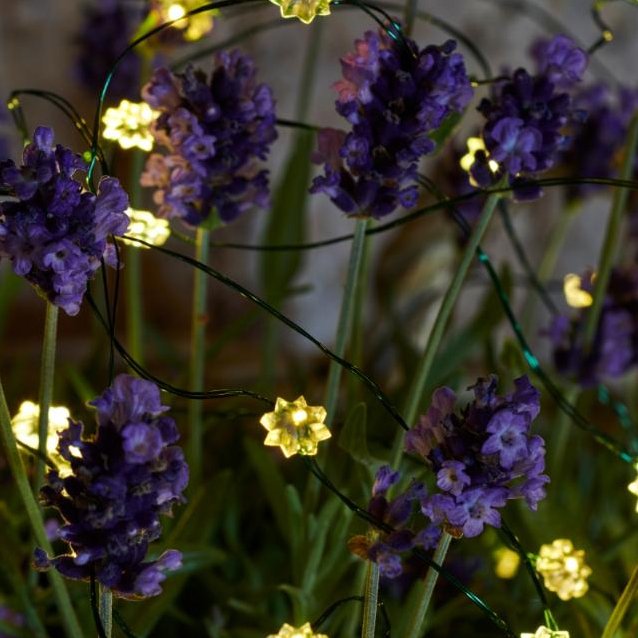 Silke 40 ljósa sería, grænn vír - hvít ljós, batt úti