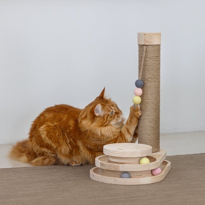 DBL Inez klórustaur