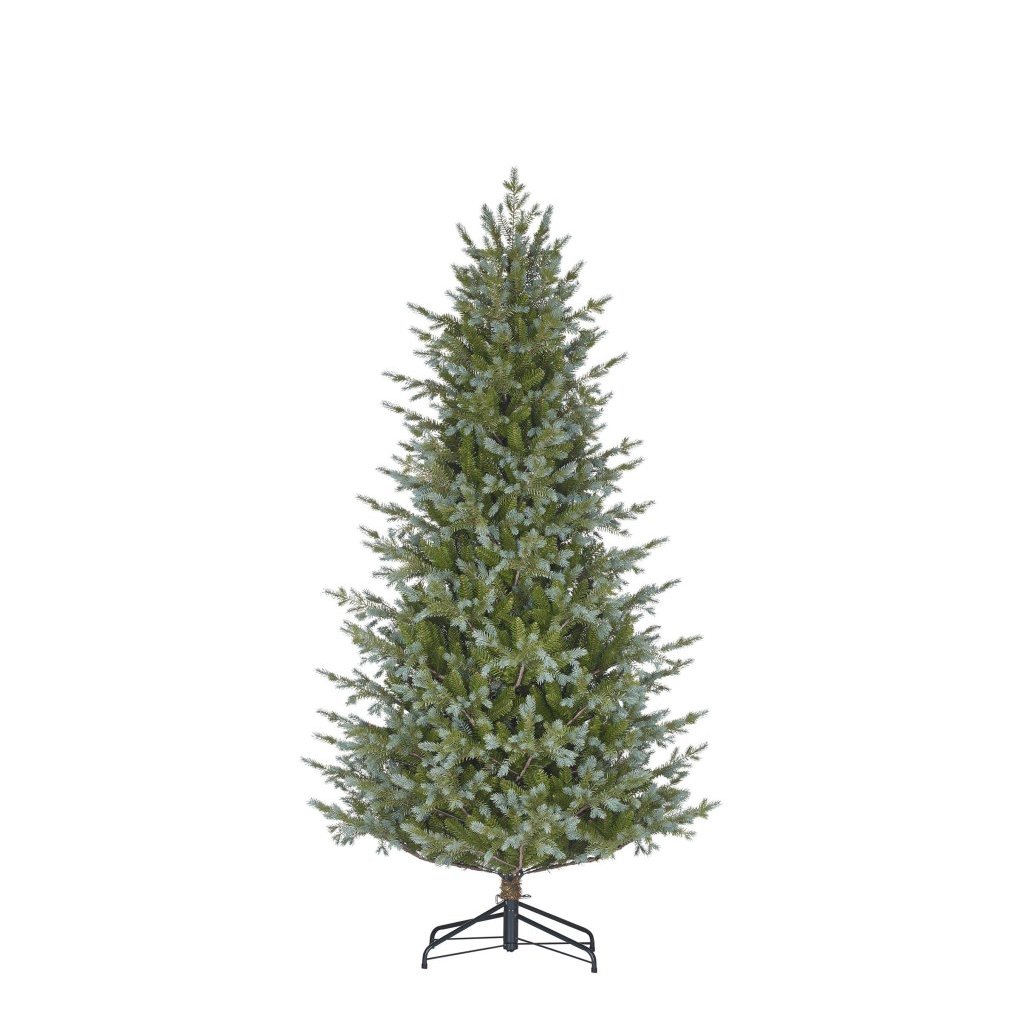 Ardley gervijólatré