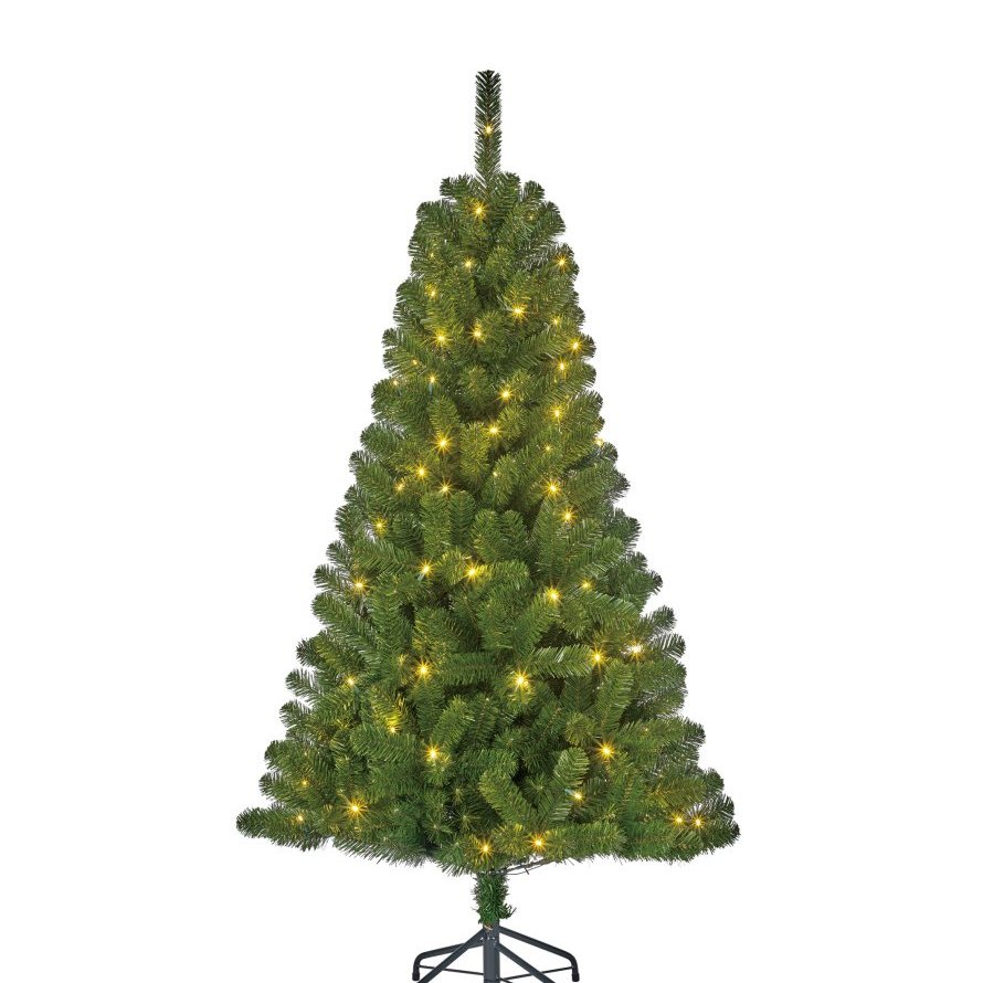 Charlton gervijólatré með seríu - green