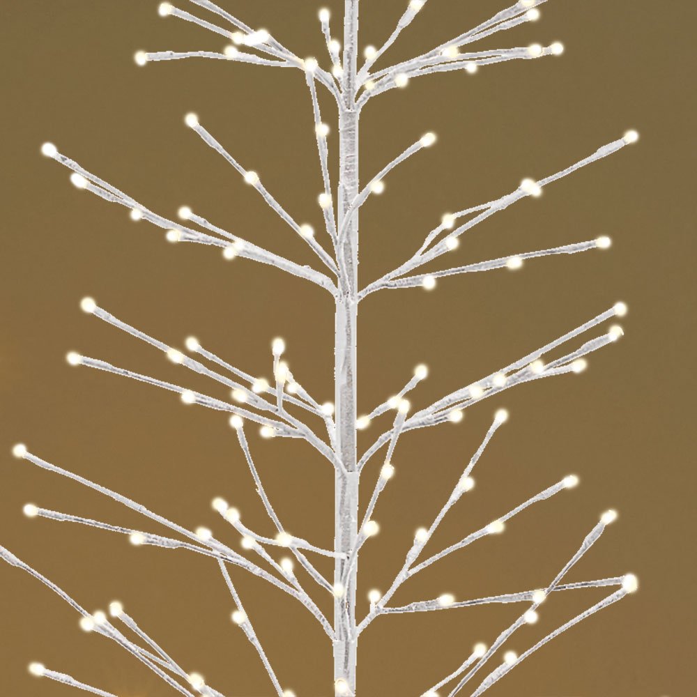 Isaac gervijólatré - hvítt