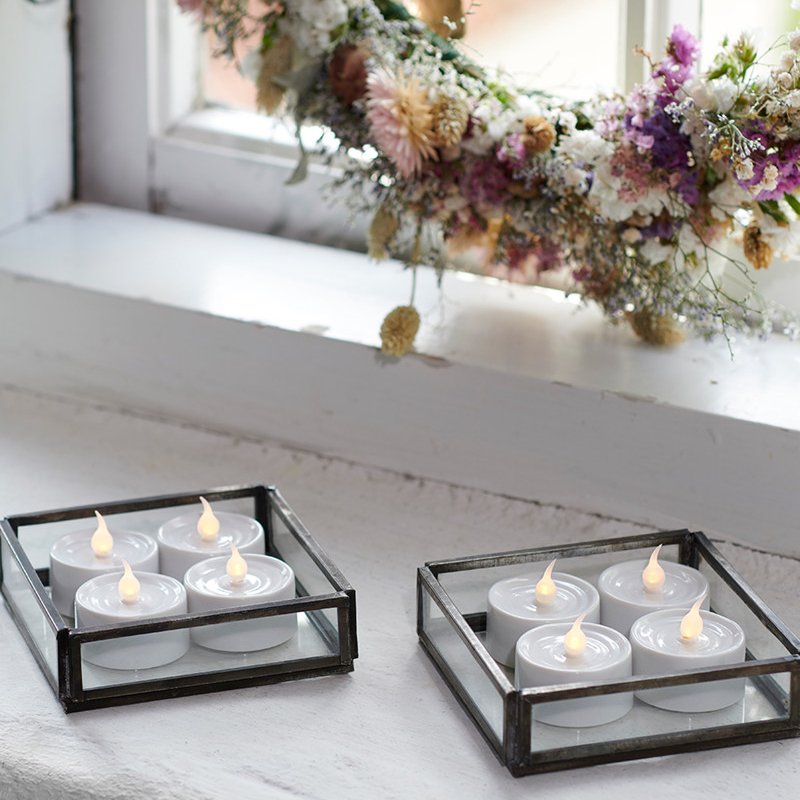 Lone teljós frá Sirius - 4 stk