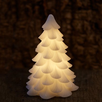 Carla vaxjólatré frá Sirius - batt