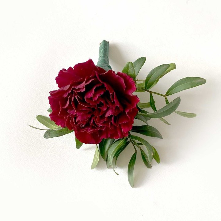 Barmblóm - rauð nellika