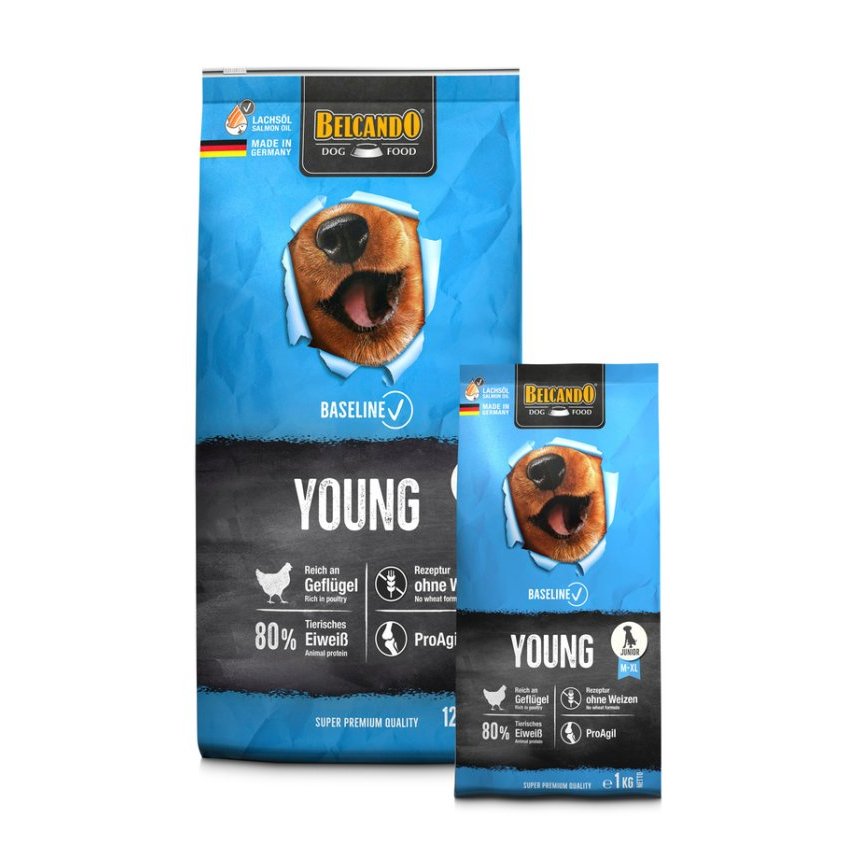 Belcando Baseline Young