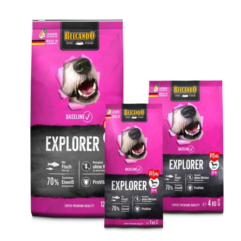 Belcando Baseline Explorer Mini