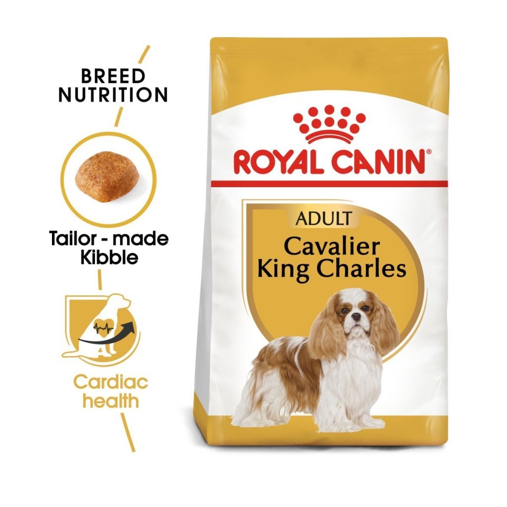 Cavalier King Charles Adult þurrfóður