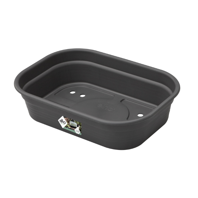 Sáðbakki - lítill