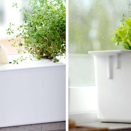 Harvy 3 vatnsræktunarkassi