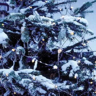 Tech-line ljósanet - hlý ljós