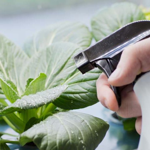 Áburður fyrir vatnsræktun