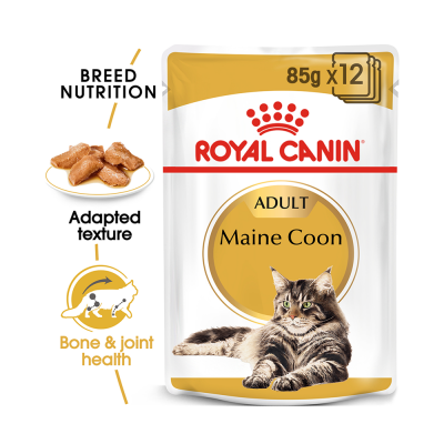 Maine Coon Adult blautfóður - 12x85gr
