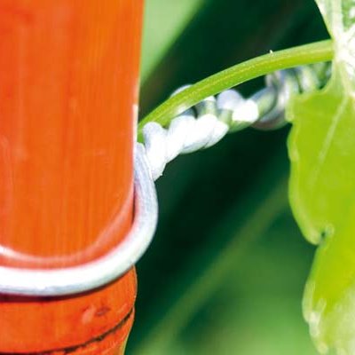 Uppbindiþræðir - 2 teg