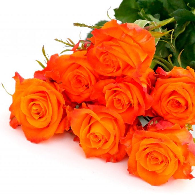 Appelsínugult rósabúnt