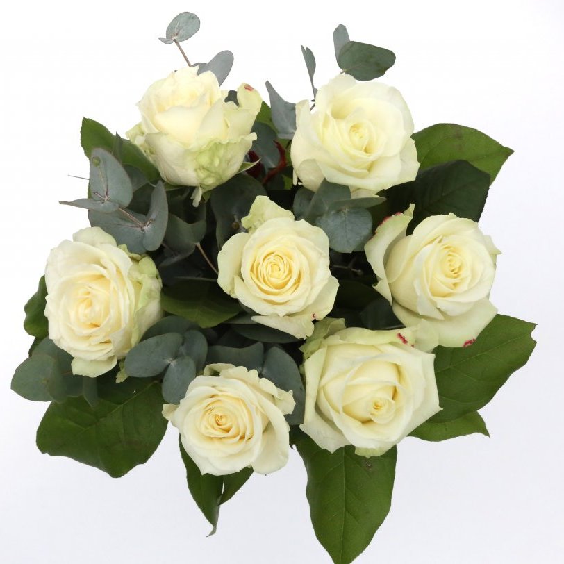 Ljósufjöll blómvöndur