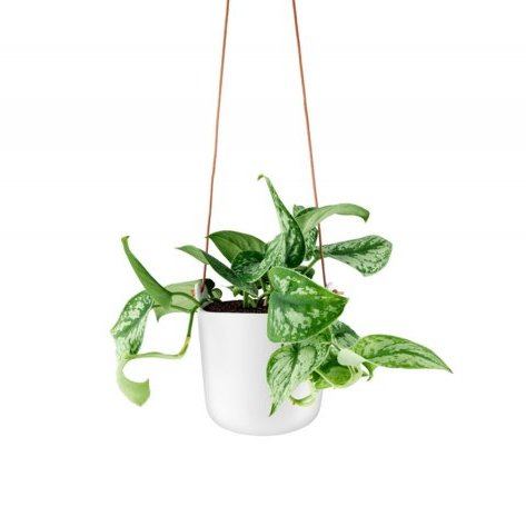 Eva Solo sjálfsvökvandi pottur, upphengjanlegur hvítur