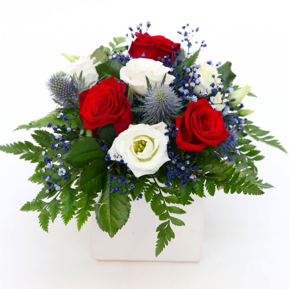 Garðheimaskreyting - fánalitir