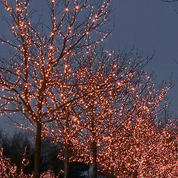 Tech-line 200 ljósa framlenging, svört snúra - hvít ljós