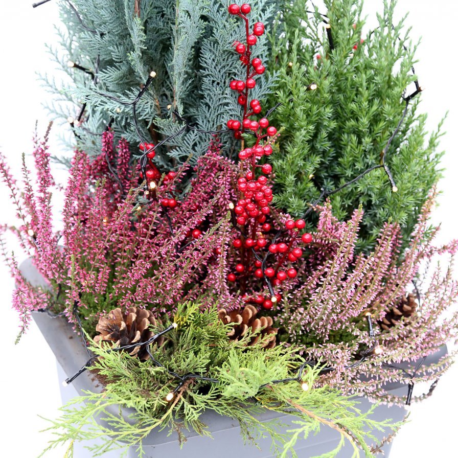 Útiskreyting með seríu