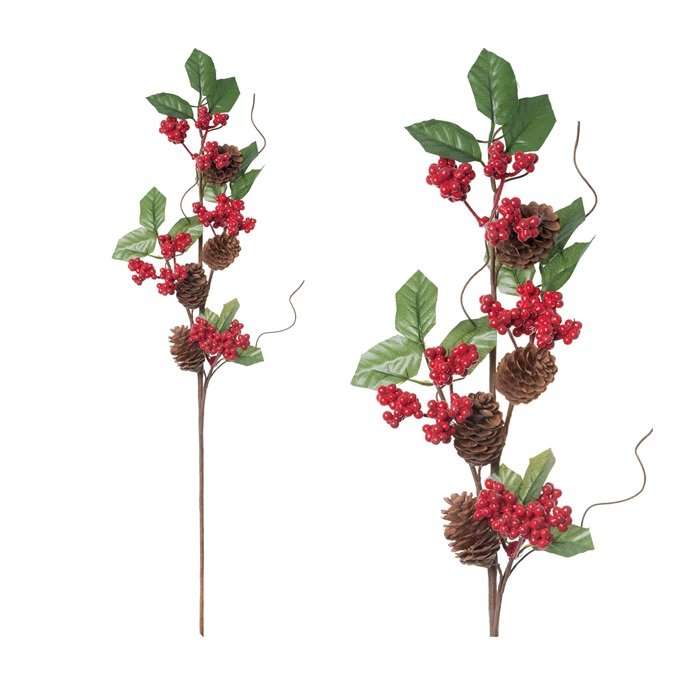 Skrautgrein með rauðum berjum og könglum