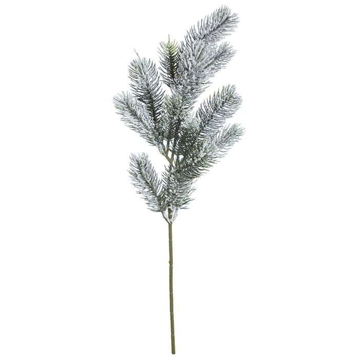 Sígræn skrautgrein með snjó