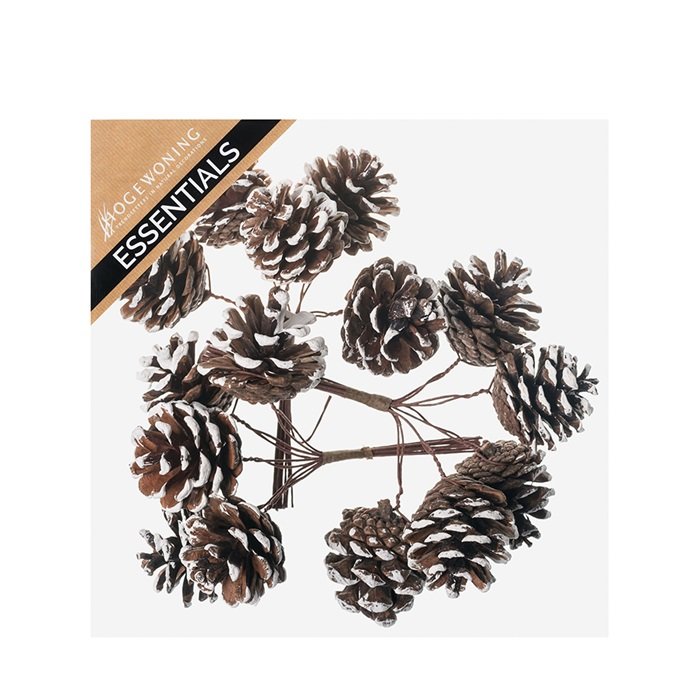 Furukönglar með snjó á vír í boxi