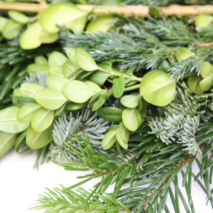 Sígrænt búnt - blandað