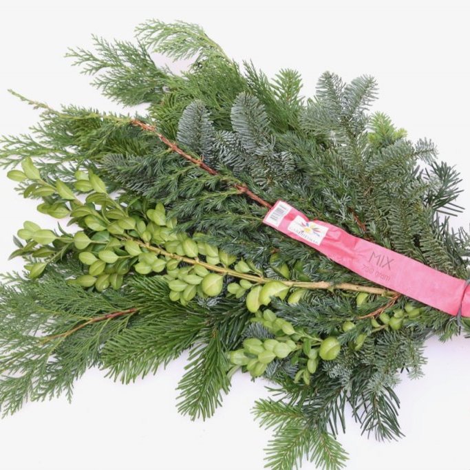 Sígrænt búnt - blandað