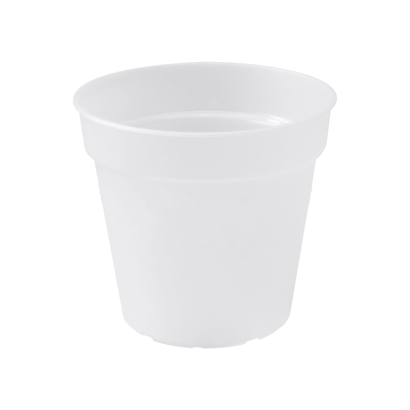 Green basic orkideupottur frá Elho - glær