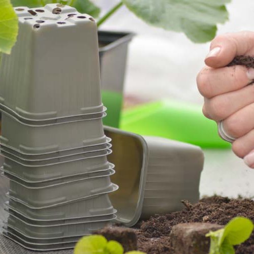 Sáðpottar 6 cm - niðurbrjótanlegir