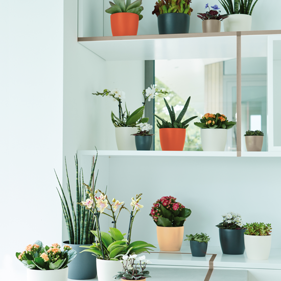 Brussel plastpottar - steingráir